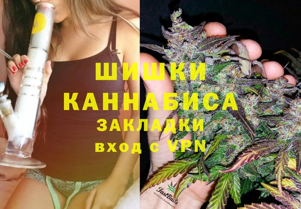 СК Протвино