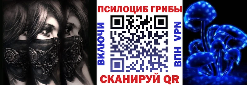 дарк нет наркотические препараты  цена   Харовск  Псилоцибиновые грибы Psilocybine cubensis 